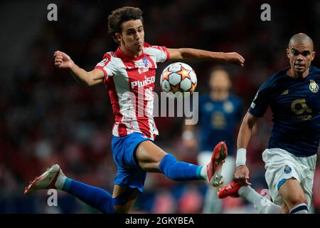 Madrid, Spanien. September 2021. Madrid, Spanien; 15.09.2021.- Atlético de Madrid gegen Porto 1. Etappe des Round Champions League-Spiels, das in Wanda Metropolitan, Madrid, ausgetragen wird. Atletico de Madrid-Spieler Joao Felix und Oporto-Spieler Pepe Kredit: Juan Carlos Rojas/Picture Alliance/dpa/Alamy Live News Stockfoto