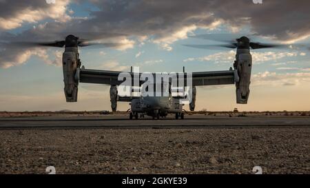 Ein MV-22 Fischadler mit Marine Medium Tiltrotor Squadron (VMM) 774 erwartet die Marineinfanteristen von Lima Company, 3. Bataillon, 25 Marineinfanteristen, an Bord während der Integrated Training Exercise (ITX) 4-21 im Marine Corps Air Ground Combat Center, Twentynine Palms, Kalifornien, am 28. Juli 2021. Marines mit VMM-774 führte Lima Company als Teil des Battalion Distributed Operations Course ein, ein Unterereignis von ITX, das eine enge Koordination von Luft- und Bodenanlagen in einem geografisch verteilten Betriebsgebiet erfordert. Stockfoto