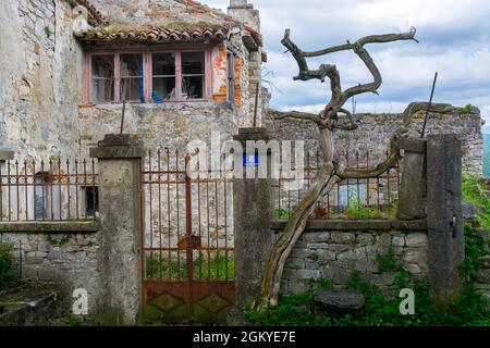 Altes, verlassenes Haus, Buzet, Kroatien Stockfoto