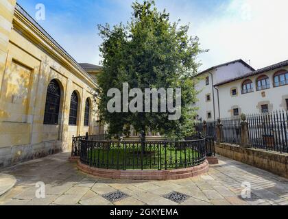 Guernica, Spanien - 11. September 2021: Der Baum von Guernica (Gernika), Baskenland. Stockfoto