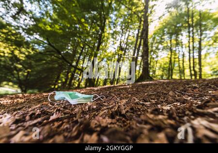 Chirurgische Maske in einem Wald verlassen. Konzept der Umweltverschmutzung. Stockfoto