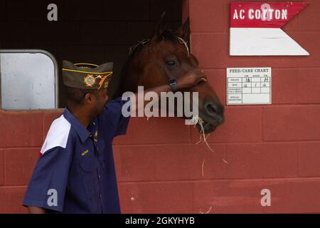 Willie Keller, Jr. ehemaliger Post Commander mit AC Cotton ein Arbeitspferd aus dem 1. Cav. Division Horse Detachment on Fort Hood, Tx 29. Juli 2021. Keller reagiert während des Stallabschnitts mit einem der Arbeitspferde. Stockfoto