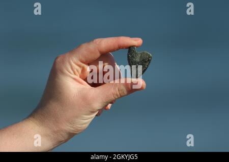 Konzept: Den Strand lieben. Im Sommer findet man am Strand in Maine herzförmige Felsen Stockfoto