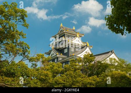 Okayama-jo Burg, Japan - Stadt in der Region Chugoku (Honshu Insel). Stockfoto