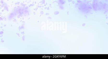 Violette Blütenblätter fallen herunter. Makellose romantische Blumen fallen regen. Fliegendes Blütenblatt auf blauem Himmel breiten Hintergrund. Liebe, Romantik Konzept. Zarte w Stock Vektor