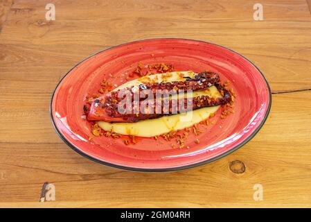 Zwei Tentakeln gegrillter Tintenfische auf einem Bett mit Kartoffelpüree auf einem schönen roten Teller auf einem Holztisch Stockfoto