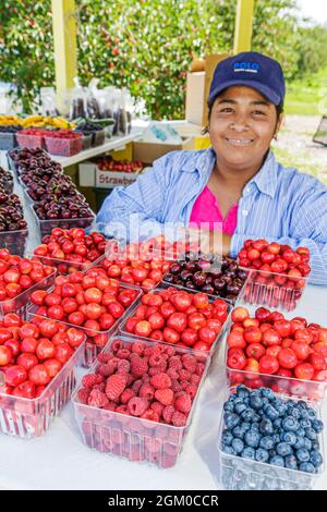 Michigan Traverse City, Old Mission Peninsula, Süßkirschen Hispanic Frau weiblich, Wanderfarmarbeiter Obst Cerasus Heidelbeeren stehen am Straßenrand Produkte Stockfoto