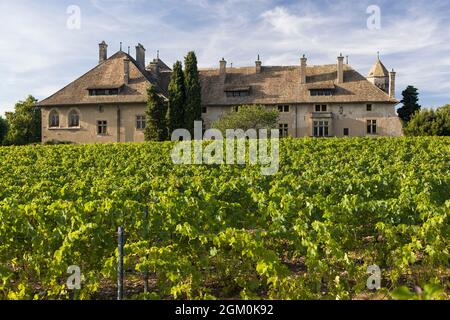 FRANKREICH HAUTE-SAVOIE (74) THONON-LES-BAINS, SCHLOSS RIPAILLE Stockfoto