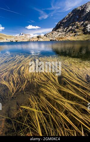 FRANKREICH SAVOIE (73) ARECHES, SEEN DES TEMPETE, BEAUFORTAIN-MASSIV Stockfoto