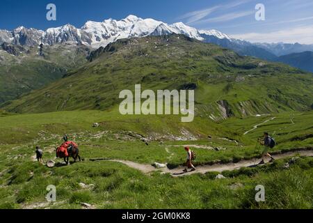 FRANKREICH HAUTE-SAVOIE (74) PASSY, ABSTIEG DES PASSES ANTERNE UND WANDERER MIT EINEM PFERD Stockfoto