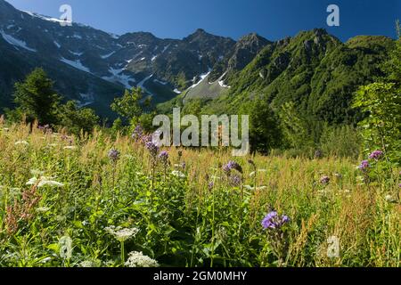 FRANKREICH HAUTE-SAVOIE (74) LES CONTAMINES MONTJOIE, ARMANCETTE COMBE Stockfoto