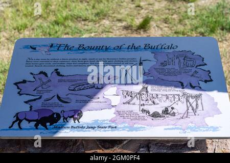 Madison Buffalo Jump SP , MT, USA - 2. Juli 2020: The Bounty of the Buffalo Stockfoto