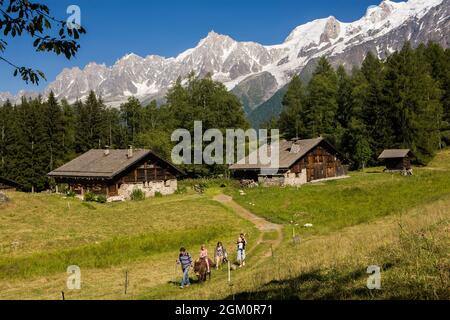 FRANKREICH HAUTE-SAVOIE (74) LES HOUCHES, CHAROUSSE WEILER BAUERNHÖFE UND MASSIV DES MONT-BLANC, WANDERN MIT EINEM ESEL, CHAMONIX-TAL MODEL RELEASE NICHT VERFÜGBAR Stockfoto