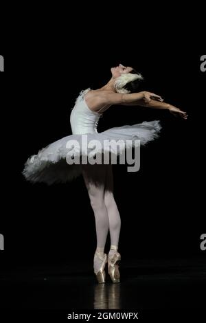 The Dying Swan, aufgeführt von Christine Shevchenko im Rahmen der Ukrainian Ballet Gala in Sadler’s Wells, London, Großbritannien Stockfoto