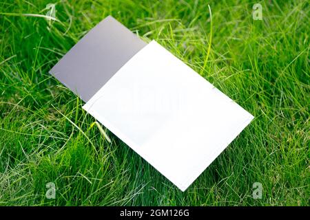 Kreativer Layoutkompositionsrahmen aus grünem Rasen mit schwarz-weißem Gehäuse für Anhänger, Markenzubehör, flachem Lay- und Kopierraum Stockfoto