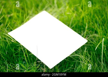 Kreative Layout Komposition Rahmen aus grünem frischem Gras mit einer schönen Textur mit einem weißen Papier Karte Note und Schatten von Sonnenlicht, flach legen Stockfoto