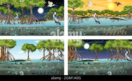 Verschiedene Mangrovenwaldlandschaftsszenen mit Tierdarstellung Stock Vektor