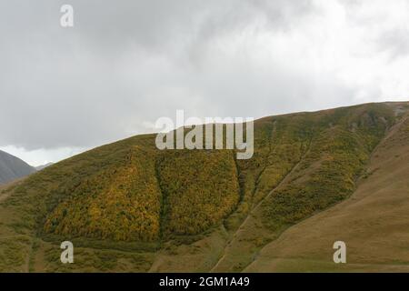 Landschaftsansicht eines Waldes mit Herbstfarben am Hang des Berges. Bunte Natur im Herbst. Stockfoto