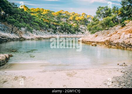 Französische Natur von Calanques an der azurblauen Küste Frankreichs. Coast De Port Pin in der Nähe von Cassis in Südfrankreich. Bucht, Kiefernwald und sonniger blauer Himmel Stockfoto