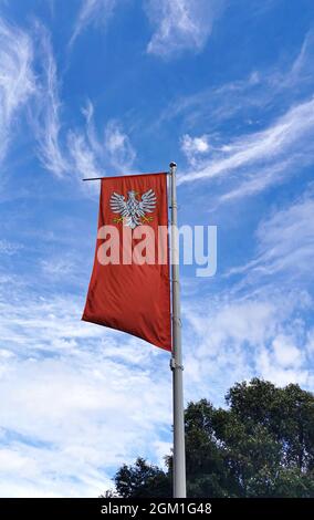 Die Staatsflagge Polens mit dem Emblem der Republik Polen, die im Wind auf der linken Seite auf blauem Himmel Hintergrund winkt Stockfoto