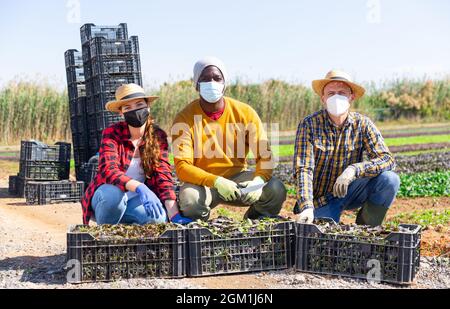 Gruppe von Landarbeitern in Masken posiert mit Kisten auf der Plantage Stockfoto