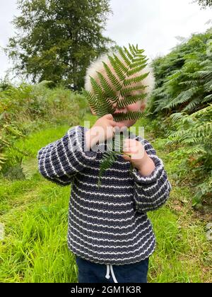 Ein junger 2-jähriger Junge versteckt sich hinter einem Farnblatt, das draußen spielt Stockfoto