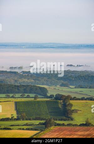 Brighton UK 16. September 2021 - am frühen Morgen liegt Nebel über der Landschaft unterhalb der South Downs, wenn die Sonne am Devils Dyke nördlich von Brighton aufgeht : Credit Simon Dack / Alamy Live News Stockfoto