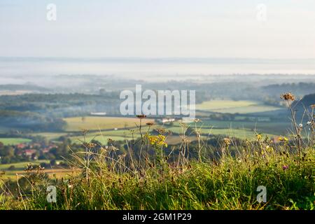 Brighton UK 16. September 2021 - am frühen Morgen liegt Nebel über der Landschaft unterhalb der South Downs, wenn die Sonne am Devils Dyke nördlich von Brighton aufgeht : Credit Simon Dack / Alamy Live News Stockfoto