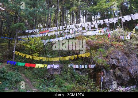 Bunte Gebetsfahnen hängen an einer Spur im ländlichen Bhutan. Dutzende von älteren, verblassten Fahnen hängen unter den Bäumen auf dem Hügel darüber. Stockfoto