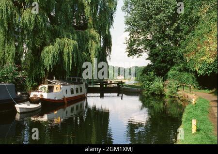 Hertford Lock am Fluss Lea, Hertfordshire, Südengland, im Sommer Stockfoto