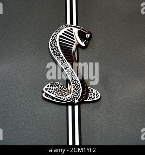 Ford Cobra Logo einer Schlange, die den Kopf zum Biss hebt, Emblem auf der Farbe des amerikanischen Sportwagens in Schöningen, Deutschland, 12. September 2021 Stockfoto