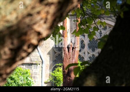 Hereford Kathedrale, Hereford, Großbritannien - über Grenzen Skulptur von John O'Connor Eisen Harz und aus rostfreiem Stahl Stockfoto