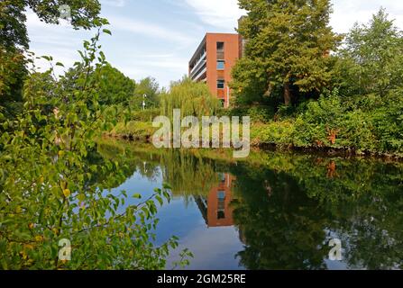 Ein Blick auf den Fluss Wensum mit Reflexionen flussabwärts der St Helens Wharf in der Stadt Norwich, Norfolk, England, Vereinigtes Königreich. Stockfoto