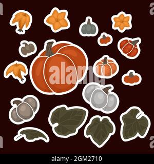 Herbst Set mit Aufkleber von verschiedenen Kürbissen, Blumen und Laub. Vector flache Kollektion mit Darstellung von Gemüse und Blättern. Warme Farbkompo Stock Vektor