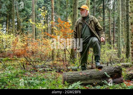 Ein Jäger macht einen Stalking durch sein Jagdgebiet und klettert über einen gesägten Baumstamm. Stockfoto