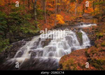 Bushkill Pennel Falls PA - Blick auf den Pennel Wasserfall, umgeben von den bunten Farben des Herbstes. Dieses Bild ist auch als Schwarz-Weiß erhältlich Stockfoto