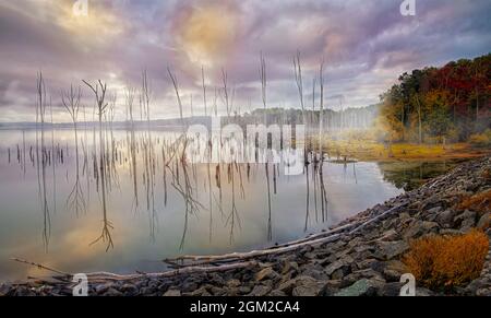 Herbst Foggy Morning - Bäume tauchen in der Morgenröte auf - Tote Äste tauchen durch den Nebel auf, kurz bevor die aufgehende Sonne in den frühen Morgenstunden zu brennen beginnt Stockfoto