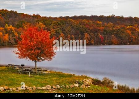 Ringwood State Park - die schönen Farben des Herbstes spiegeln sich im stillen Wasser und in den Bergen im Ringwood State Park in New Jer wider Stockfoto