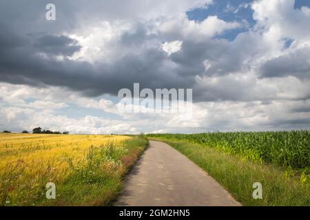 Ein Pfad in der Landschaft - eine Straße, die zum Horizont zwischen zwei Feldern führt Stockfoto