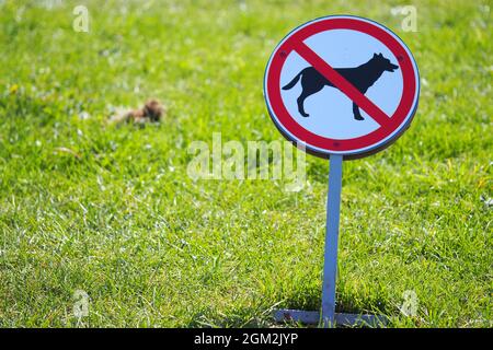 Das Gehen von Hunden ist verboten. Warnschild für Hundezüchter. Stockfoto