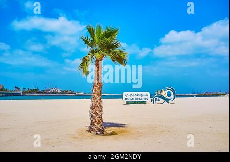 Der weiße Sand Jumeirah Beach mit Blick auf die kleine Palme und Dubai Beaches Zeichen im Hintergrund, VAE Stockfoto
