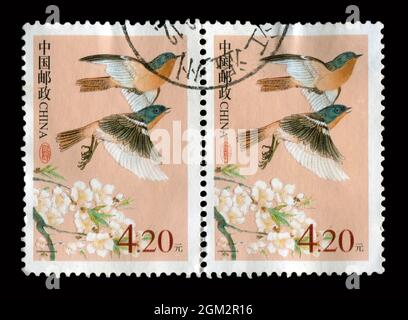 2 STÜCK SET Stempel gedruckt in China zeigt Bild der Vögel. Stockfoto