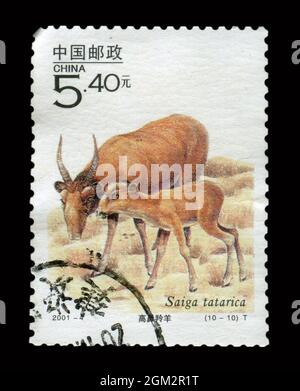 Die in China gedruckte Briefmarke zeigt das Bild der Saiga tatarica von 2001-4, um 2001. Stockfoto