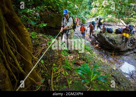 Ein Mann klettert einen steilen Teil des Camino Real Trail im dichten Regenwald des Nationalparks Portobelo, Republik Panama, Mittelamerika. Stockfoto