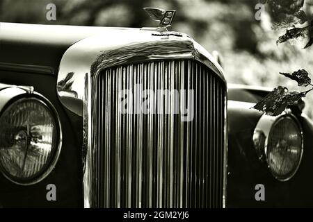 Classic Vintage Bentley - Grill Und Abzeichen Stockfoto