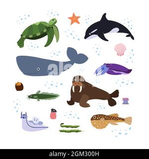 Design-Vorlage mit Meerestier im Quadrat für Kinder drucken. Rechteckige Zusammensetzung von Meerestieren, Walen, Schildkröten und Walrosse. Vektor-Set von Unterwasserleben im Cartoon-Stil. Stock Vektor