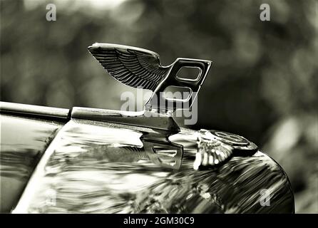 Classic Vintage Bentley - Abzeichen Stockfoto