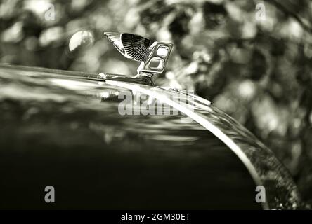 Classic Vintage Bentley - Haube Und Abzeichen Stockfoto