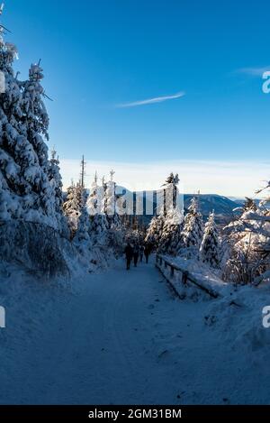 Nur wenige Touristen auf dem Wanderweg zum Lysa hora Hügel mit gefrorenen Bäumen und Hügeln im Hintergrund im Winter Moravskoslezske Beskiden Berge in CZE Stockfoto