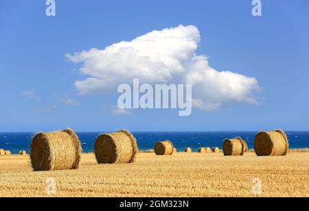 Landschaft mit Heurollen auf landwirtschaftlichem Feld in der Nise Tag Stockfoto